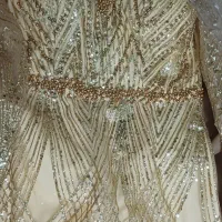 ۲ عدد لباس مجلسی دونه ایی ۳ تومن