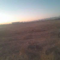 زمین کشاورزی ۸ هزار متر ۱۰۰متر حاشیه|فروش دفتر صنعتی، کشاورزی، تجاری|قوچان, |دیوار