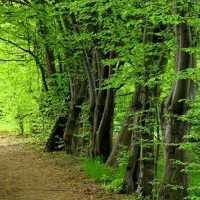 تورهای اقتصادی چند روزه تعطیلات خرداد