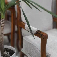 مبل کلاسیک چستر|مبلمان خانگی و میز عسلی|زنجان, |دیوار