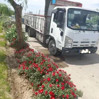 ایسوزو 8/400 P700|خودرو سنگین|بجنورد, |دیوار