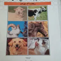 کتاب های رشته تغذیه دام و طیور|کتاب و مجله آموزشی|رشت, سیا اسطلخ|دیوار