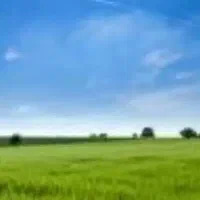 واگذاری زمین اجاره کشاورزی