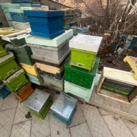 کندو و کندوچه و نیم طبق پرورش ملکه