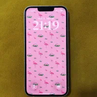 ایفون۱۳|موبایل|مشهد, کوه سنگی|دیوار