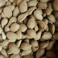 کشمش بادام درجه یک