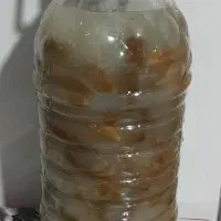 خیار شور محلی