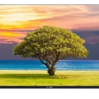 تلویزیون ۵۵اینج اسنوا