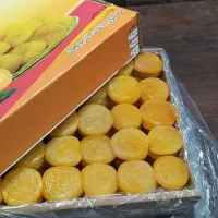 استخدام کارگرساده خانم درکارخانه بسته‌بندی قیصی