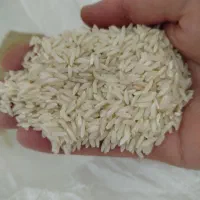 برنج محلی