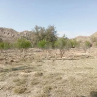 زمین کشاورزی