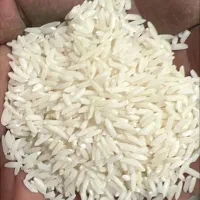 برنج طارم هاشمی