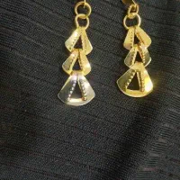 گوشواره گم شده