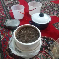 ترازو|حراج|کرج, اسلام‌آباد|دیوار