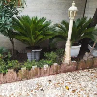 فروش انواع گل