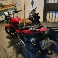 معاوضه متور پالس ۱۸۰ یوجیفور با گوشی و اقساط|موتورسیکلت|تهران, پاسداران|دیوار