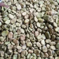 باقالا هفت بند بزری