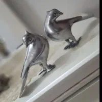 کفتر سایز ۱علامت وعلم