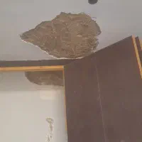 گچ کاری و لکه گیری