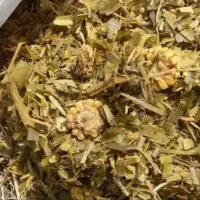 فروش عمده جو ذرت یونجه