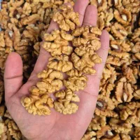 استخدام ویزیتور حضوری گردو و مغز گردو (اصفهان)
