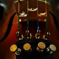 فروش  ویولن دست ساز