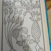 دعا سرکتاب|کتاب و مجله مذهبی|رودان, |دیوار