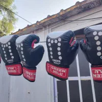 دستکش بوکس ۱۲،۱۴