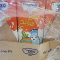 ویزیتور لبنیات پگاه