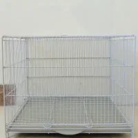 قفس