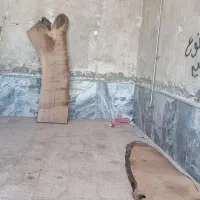اسلب گردو