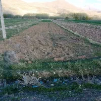 زمین-کشاورزی-25-جریب-چادگان-قلعه-شاهروخ