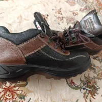 کفش طبی ایمنی کفش کار معاوضه با پرنده