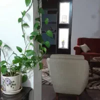 خانه ویلایی دارای ۳ اتاق خواب مبله با تمام امکانات|اجارهٔ کوتاه‌مدت آپارتمان و سوئیت|ایذه, |دیوار