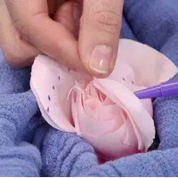 لابیاپلاستی 10 میلیون، زیبایی واژن،خدمات مامایی