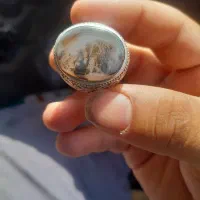 انگشتر شجر اصل