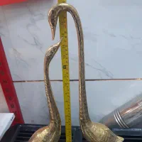 قوهای برنزی