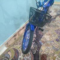 دوچرخه سایز ۲۰ در حد نو فقط ۶ ماه خریداری شده|دوچرخه، اسکیت، اسکوتر|اندیکا, |دیوار