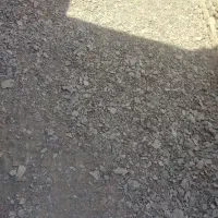 دنبال استاهستم