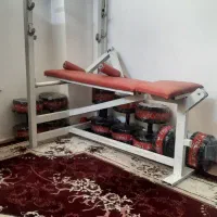 میز پرس چندکاره با دمبل