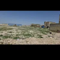 زمین مرودشت کوشک