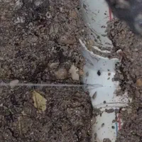 نشت یابی تصویری نشتیابی دقیق|خدمات پیشه و مهارت|اندیمشک, |دیوار