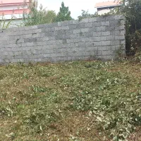 چمن زنی وبریدن علفهای هرز|خدمات باغبانی و درختکاری|آستانه اشرفیه, |دیوار