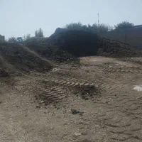 کود حیوانی قیمت مناسب|خدمات باغبانی و درختکاری|شهریار, کهنز|دیوار