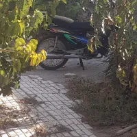 متور۱۱۰لاکی تکپر|موتورسیکلت|تربتحیدریه, بالا ولایت|دیوار