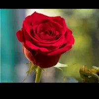 راهنمایی کنید