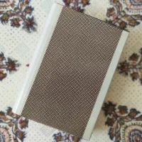 کاخ تنهایی ـ شکست شاهانه ـ اخرین سفر شاه|کتاب و مجله تاریخی|فردوس (خراسان), |دیوار