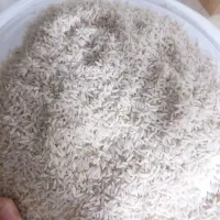 ۵۰ کیلو برنج هاشمی خالص از شالیزارهای ویرمونی|خوردنی و آشامیدنی|آستارا, |دیوار