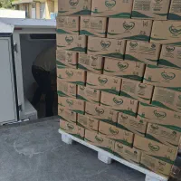 پخش کره گیاهی و حیوانی