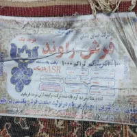 فرش راوند کاشان